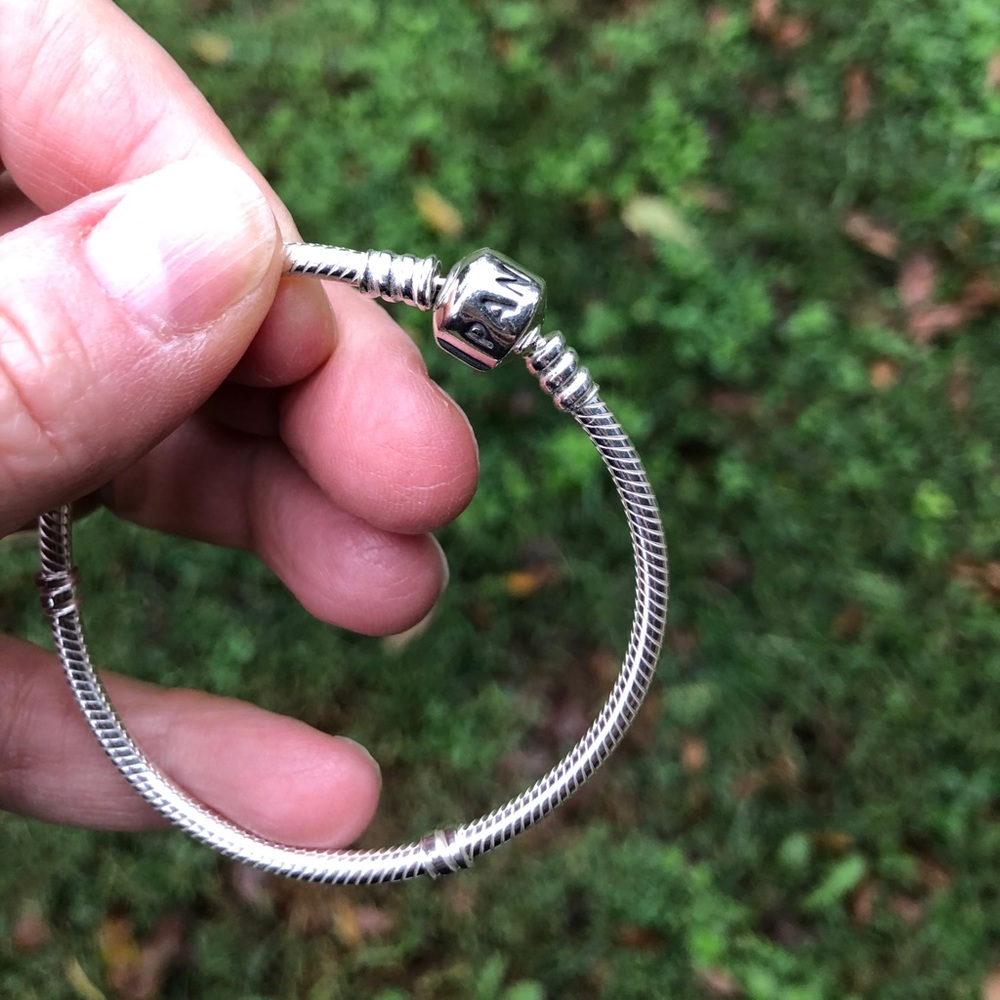 Pandora Moments Bracelet